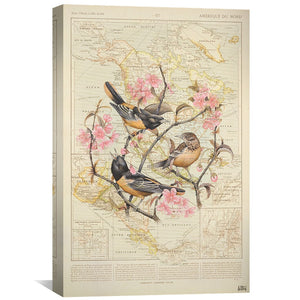 Baltimore Oriole Canvas Art Clock Canvas