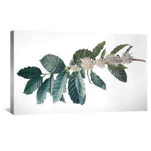Coffee Leaves Canvas Art Clock Canvas