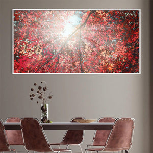 Sun Through Crimson Leaves Canvas Art Clock Canvas