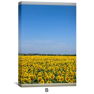 Sunflower Fields Canvas Art Clock Canvas