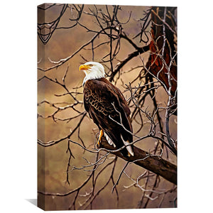 Bald Eagle Canvas Art Clock Canvas