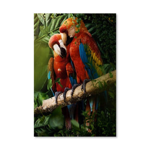 Beautiful Parrots Canvas Art Clock Canvas