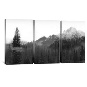 Black and White Nature Canvas Art Set of 3 / 30 x 45cm / Unframed Canvas Print Clock Canvas