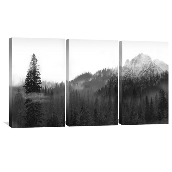 Black and White Nature Canvas Art Set of 3 / 30 x 45cm / Unframed Canvas Print Clock Canvas