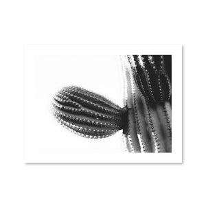 Cactus Plant Print Art Clock Canvas