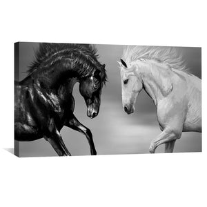 Ebony and Ivory Stallions Canvas Art Clock Canvas