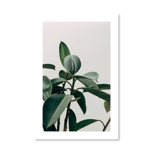 Elastica Plant Print Art Clock Canvas