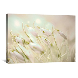 Enchanting Snowdrops Canvas Art Clock Canvas