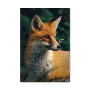 Happy Fox Canvas Art Clock Canvas