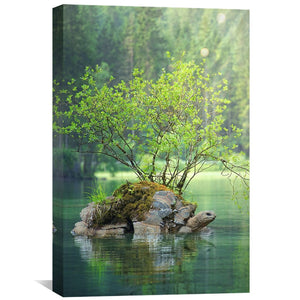Lake Turtle Canvas Art 30 x 45cm / Unframed Canvas Print Clock Canvas