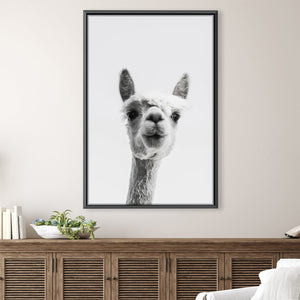 Lama Portrait Canvas Art 30 x 45cm / Unframed Canvas Print Clock Canvas