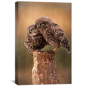 Learning the Ropes Canvas Art Clock Canvas