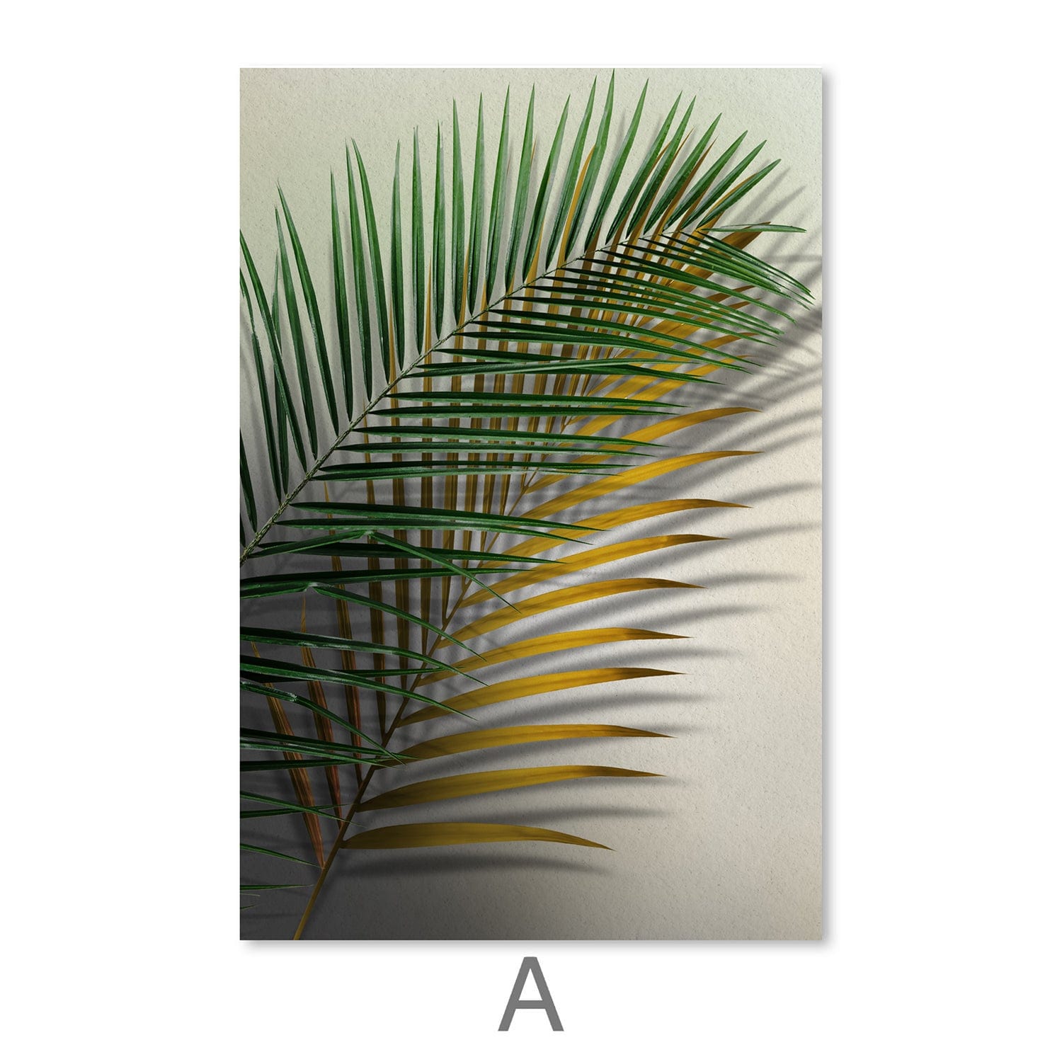 Leaves and Shadows Canvas Art Clock Canvas