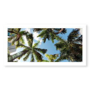 Palm Skies Print Art Clock Canvas