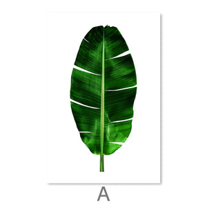 Plants and Vibes Canvas Art A / 30 x 45cm / Unframed Canvas Print Clock Canvas