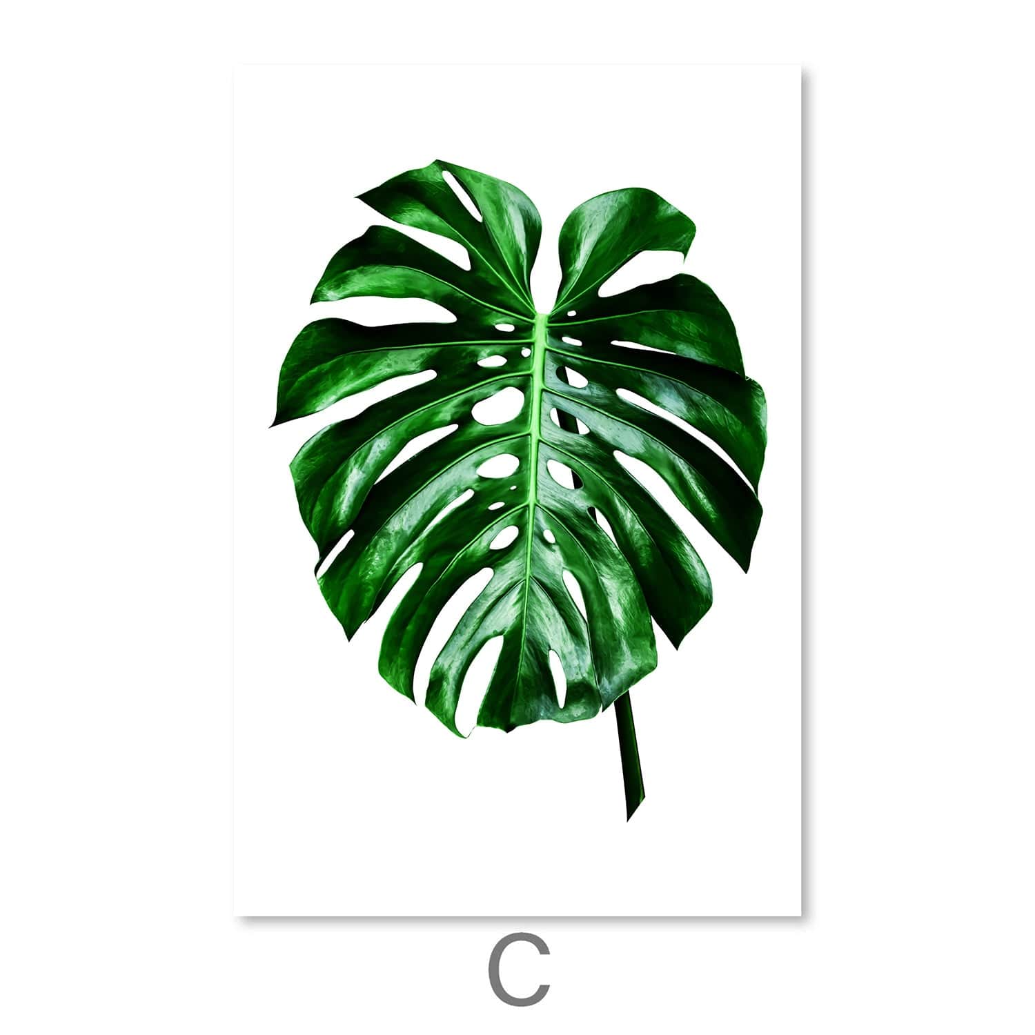 Plants and Vibes Canvas Art C / 30 x 45cm / Unframed Canvas Print Clock Canvas