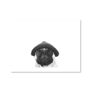 Pug Toque Print Art Clock Canvas