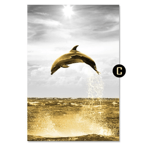 Shining Dolphin Canvas Art C / 40 x 50cm / No Board - Canvas Print Only Clock Canvas