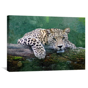 Snow Leopard Canvas Art Clock Canvas