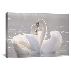 Swan Heart Canvas Art Clock Canvas