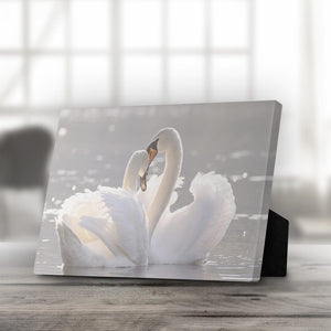 Swan Heart Desktop Canvas Desktop Canvas Clock Canvas