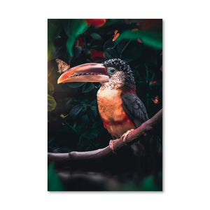 Tropical Toucan Canvas Art Clock Canvas