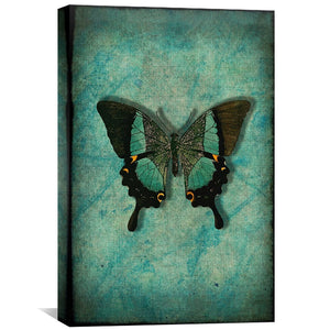 Vintage Butterfly Canvas Art 30 x 45cm / Unframed Canvas Print Clock Canvas