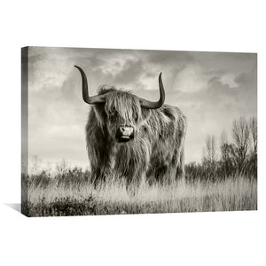 Wild Cow Canvas Art Clock Canvas