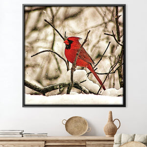 Winter's Perch Canvas Art 30 x 30cm / Unframed Canvas Print Clock Canvas