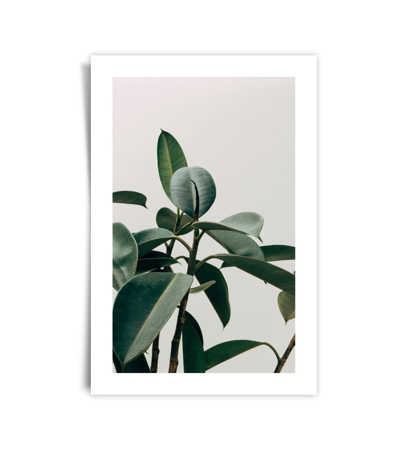 Unframed Print