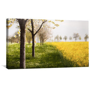 Meadow Harmony Canvas