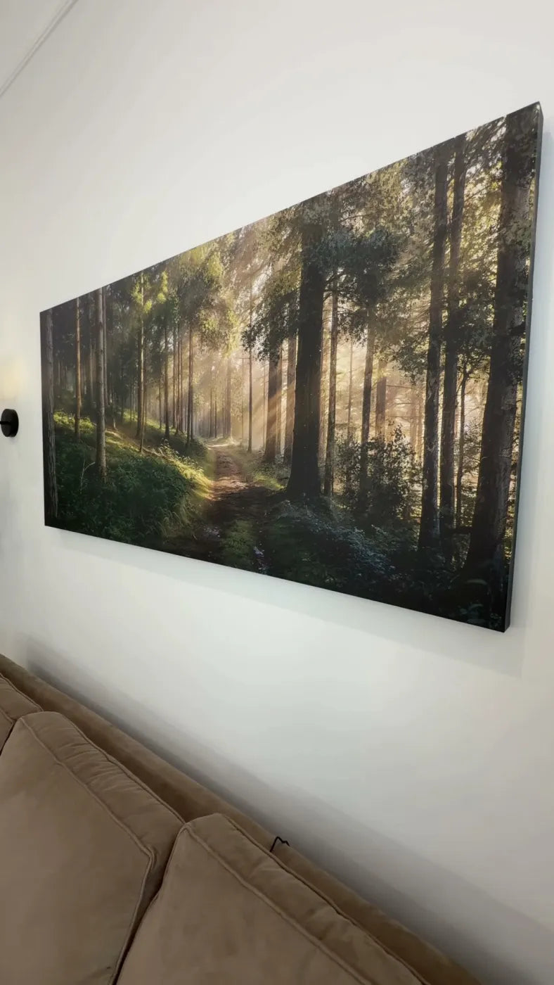 Clock Canvas sunlit forest canvas above a sofa in a customer's living room