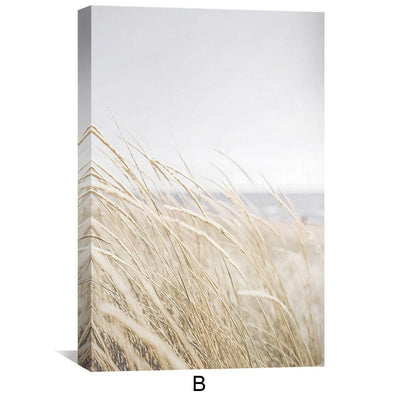 B