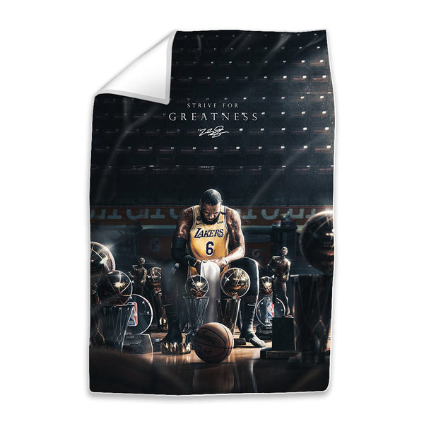 Lebron Trophies Easy Build Frame Art Fabric Print Only / 24 x 36in Clock Canvas