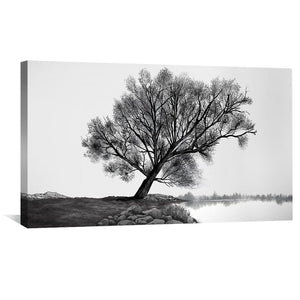 Monochrome Willow Canvas Art Clock Canvas