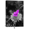 Purple Vibrance Canvas Art Clock Canvas