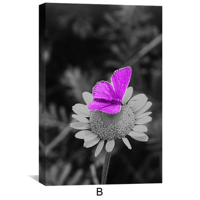 B