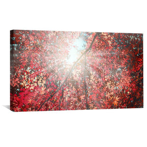 Sun Through Crimson Leaves Canvas Art Clock Canvas