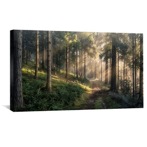 Where the Sun Leads Canvas Art Clock Canvas