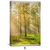 Window to Forestry Canvas Art Clock Canvas