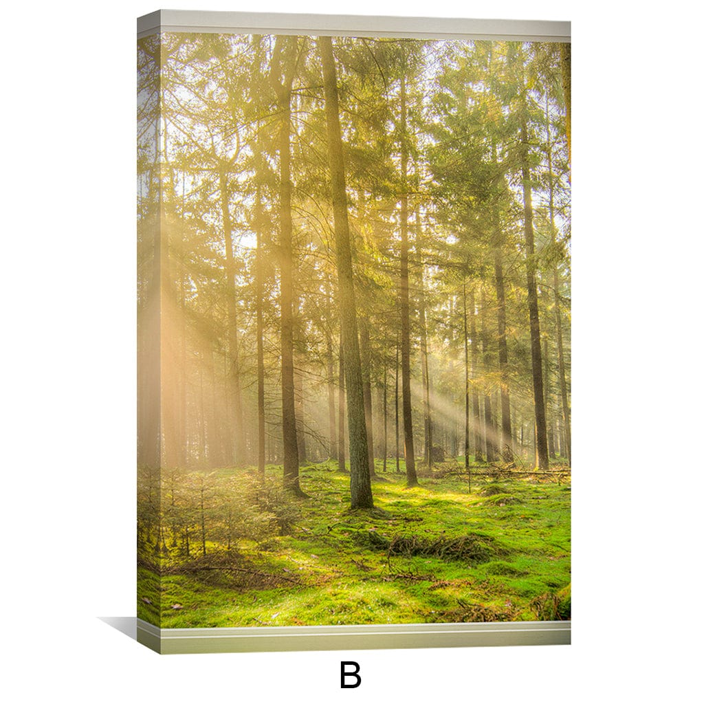 Window to Forestry Canvas Art Clock Canvas