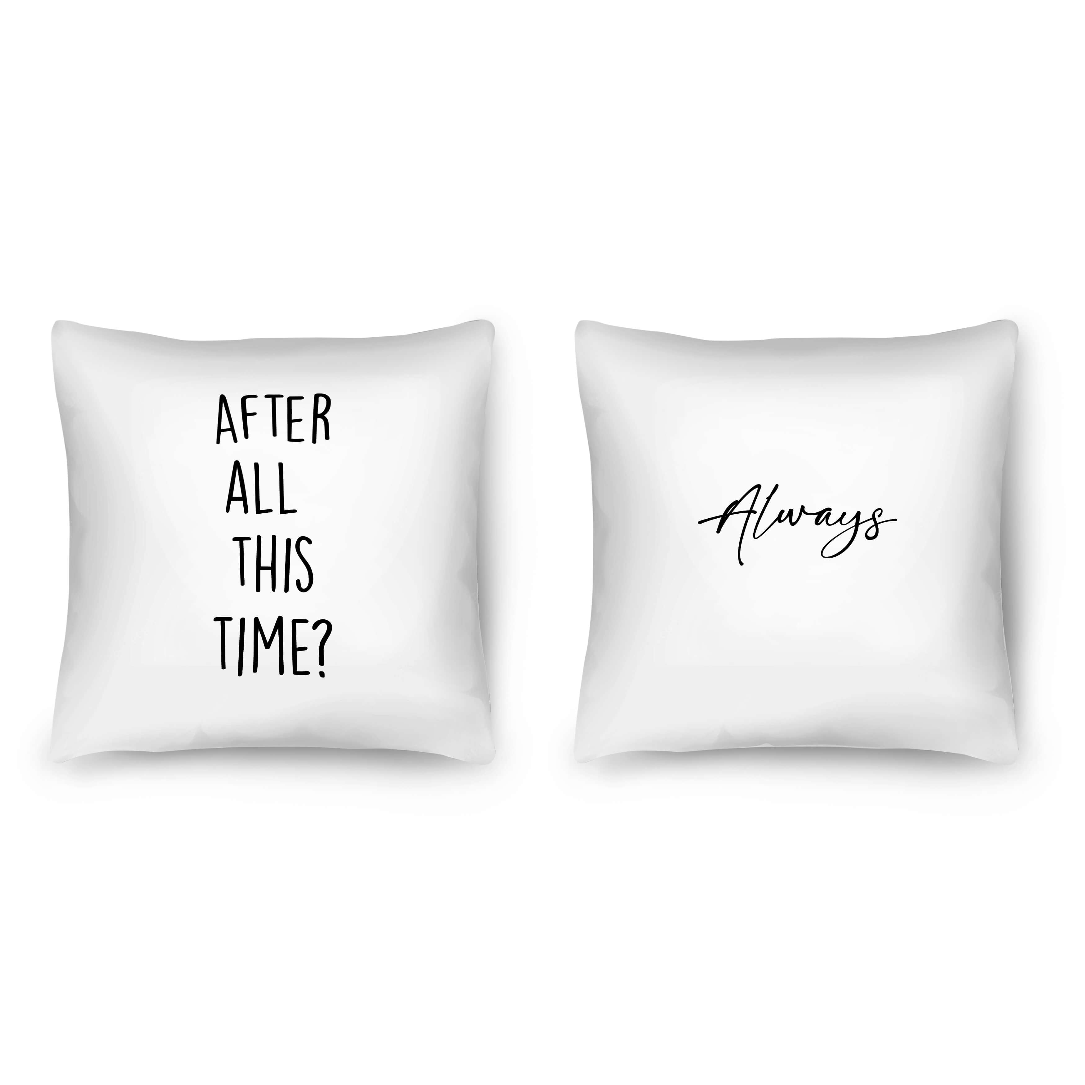 After All This Time Cushion product thumbnail