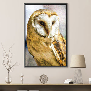 Barn Owl Canvas Art 30 x 45cm / Unframed Canvas Print Clock Canvas