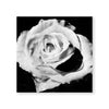 Blanc Bloom Canvas Art Clock Canvas
