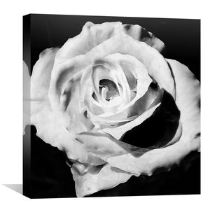 Blanc Bloom Canvas Art 30 x 30cm / Unframed Canvas Print Clock Canvas