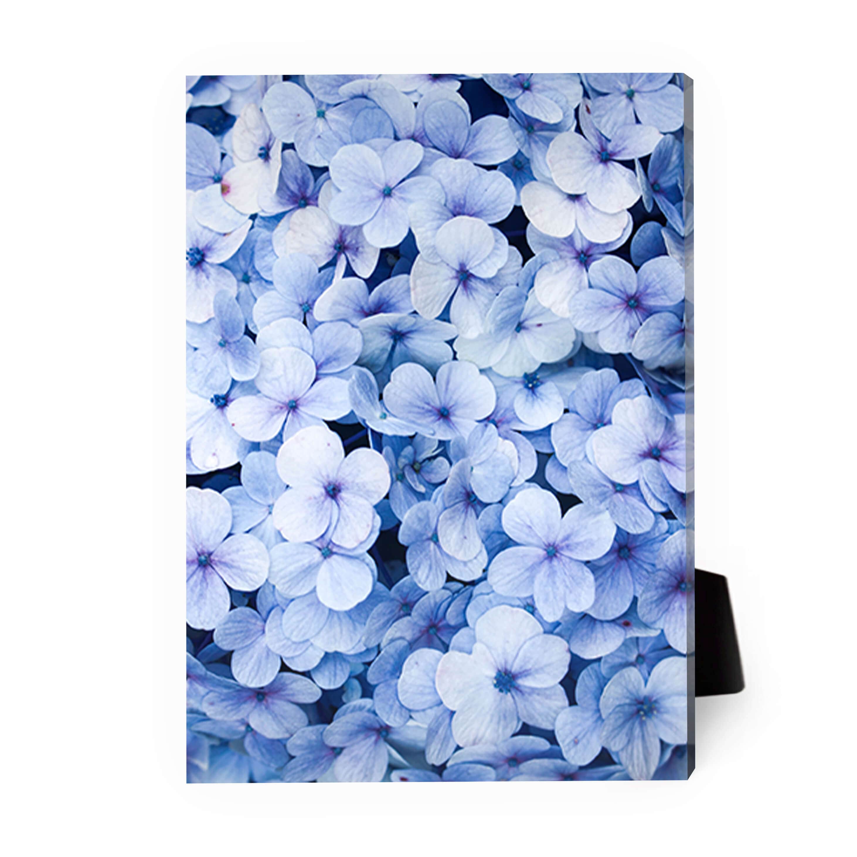 Blue Flowers Desktop Canvas product thumbnail