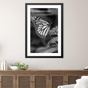 Butterfly Kisses Print Art Clock Canvas