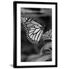Butterfly Kisses Print Art 30 x 45cm / Unframed Canvas Print Clock Canvas