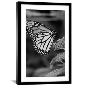 Butterfly Kisses Print Art 30 x 45cm / Unframed Canvas Print Clock Canvas