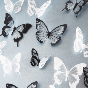 Butterfly Wall Stickers Sticker Black and White Clock Canvas